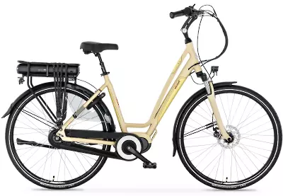 ebike model Ascot MTX-500