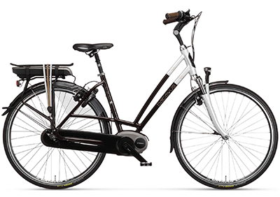 ebike model Trento E-go
