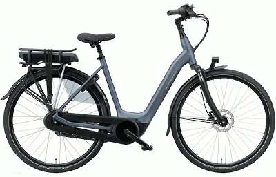 ebike model Finez E-go Active Plus