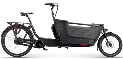ebike model Fier 2