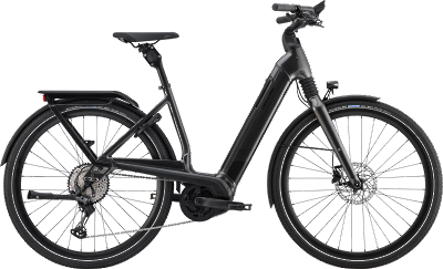 ebike model Mavaro Neo 2