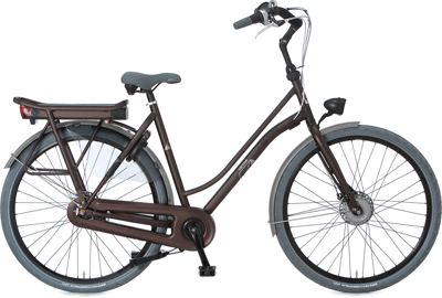 ebike model E-Roots