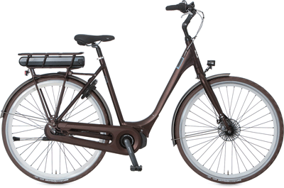 ebike model E-Wave