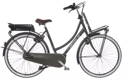 ebike model E-U4 Transport Active Line plus