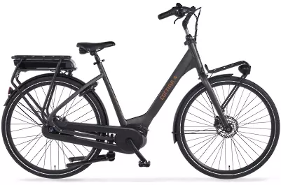 ebike model E-Common Family Active Line Plus