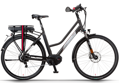 ebike model Trekking HS N380