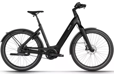 ebike model Shadow 85 automatic