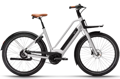ebike model Flow 50
