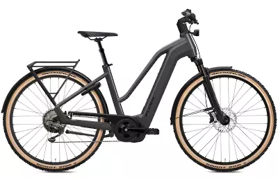 ebike model Gotour 7.12 XC