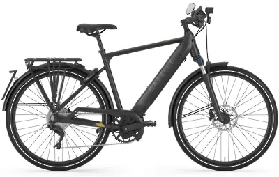 ebike model Medeo Speed