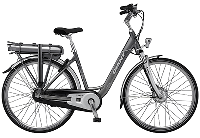 ebike model Twist Go Power