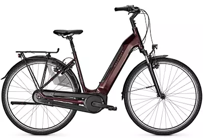 ebike model Agattu 3.B Move BLX
