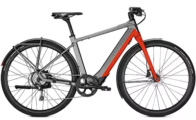 ebike model Berleen 5.G Advance