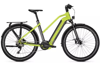 ebike model Endeavour 7.B Move