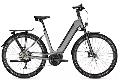 ebike model Endeavour 5.B Move+