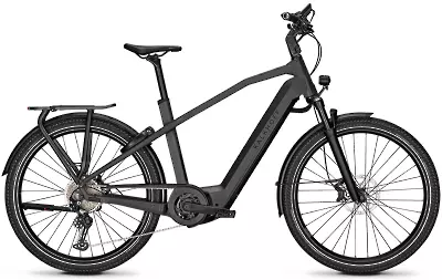 ebike model Endeavour 7.B Move+