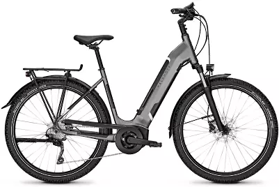 ebike model Entice 3.B Advance