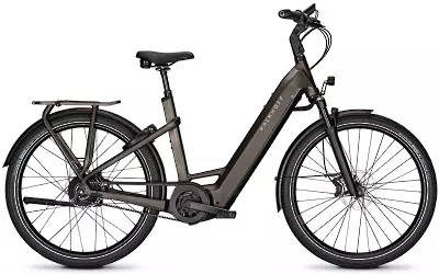 ebike model Image 7.B Excite+