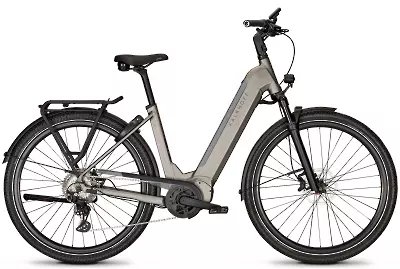 ebike model Endeavour 5.B Advance+