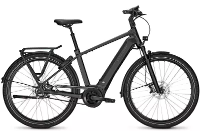ebike model Image 5.B Advance+