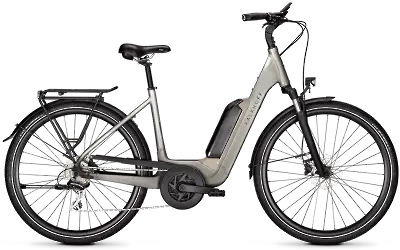 ebike model Endeavour 1 Move