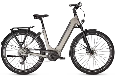 ebike model Endeavour 5 Advance+ ABS