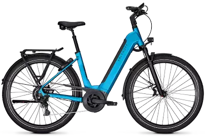 ebike model Endeavour 5 Move+