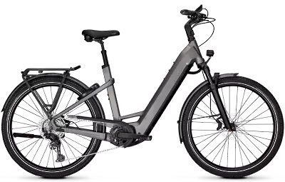 ebike model Endeavour 7 Move+