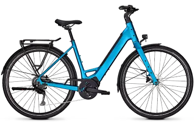 ebike model Endeavour L Move