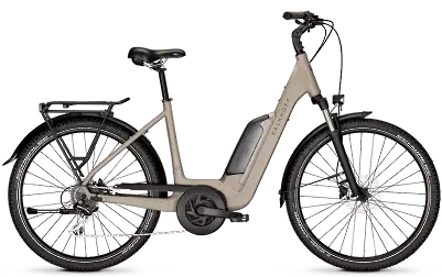 ebike model Entice 1 Move International