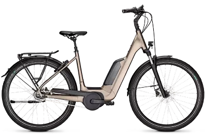 ebike model Image 1 Advance