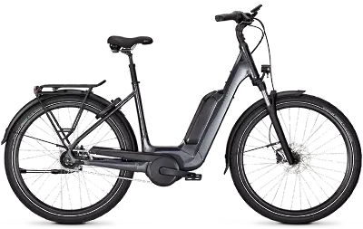ebike model Image 1 XXL