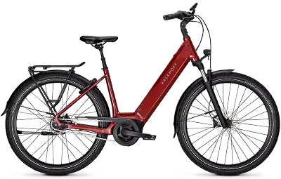 ebike model Image 3 Move