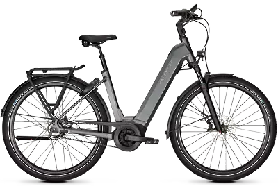 ebike model Image 5 Advance+