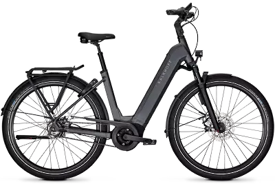 ebike model Image 5 Advance+ ABS