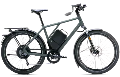 ebike model N Rogue 45