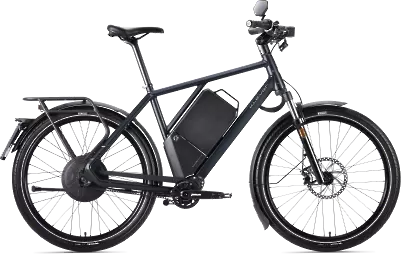 ebike model N Pinion 45