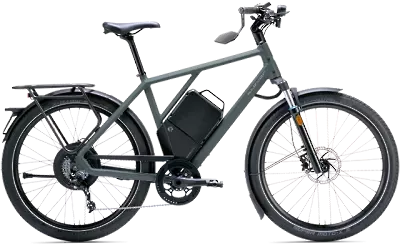 ebike model N Rogue 25