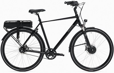 ebike model Prestige EFB