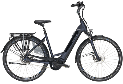 ebike model Ravenna Evo 5 CX