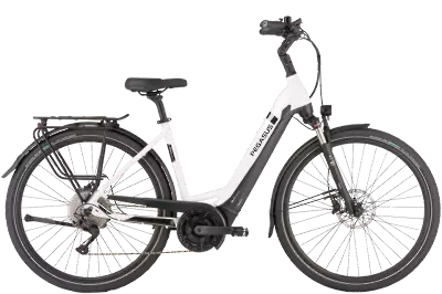 ebike model Strong Evo 10