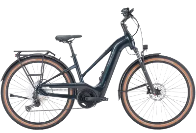 ebike model Savino EVO 12 Lite