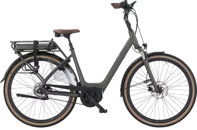 ebike model Siena E5F Belt NL