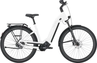 ebike model Estremo EVO 9 Belt
