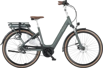 ebike model Siena E5F Belt