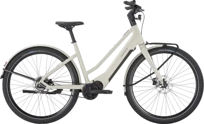 ebike model Versario Evo