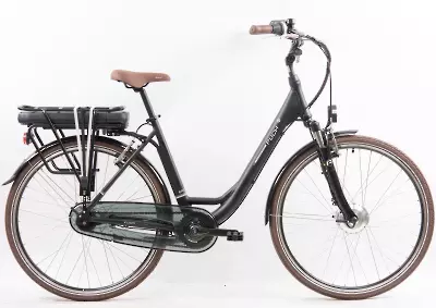 ebike model Bronzit
