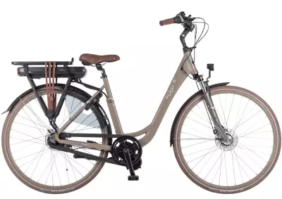 ebike model E-Ballad S