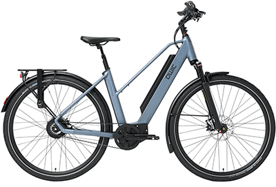 ebike model Performance MN380