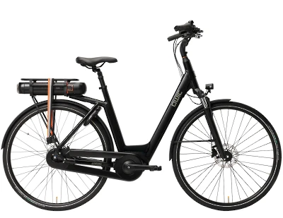 ebike model Premium MN7D